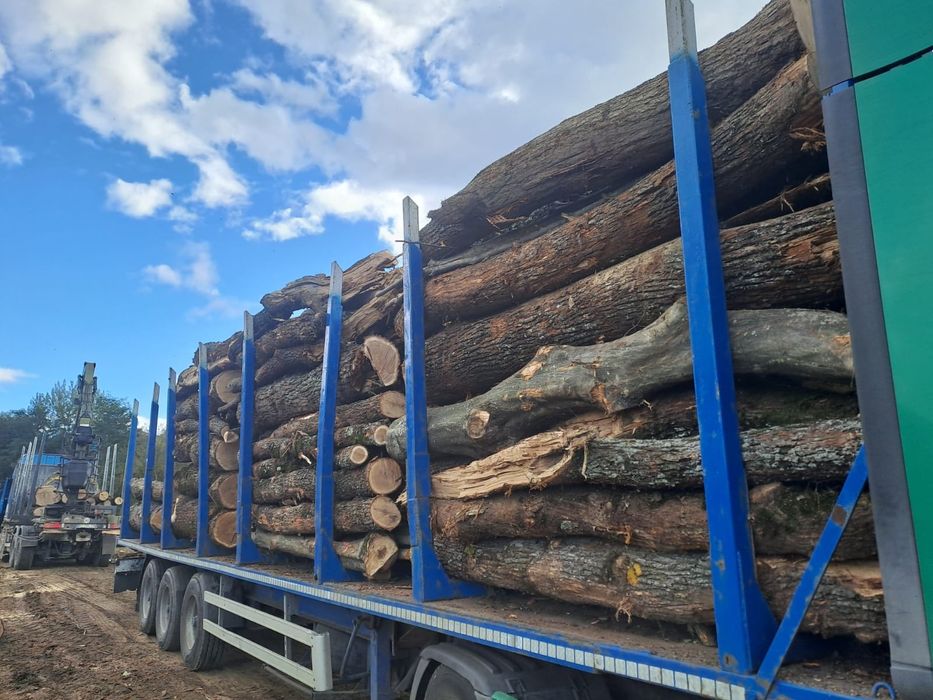 Vând lemn de foc fag+carpen+gorun