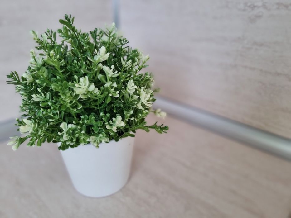 Нощувки Русе апартамент