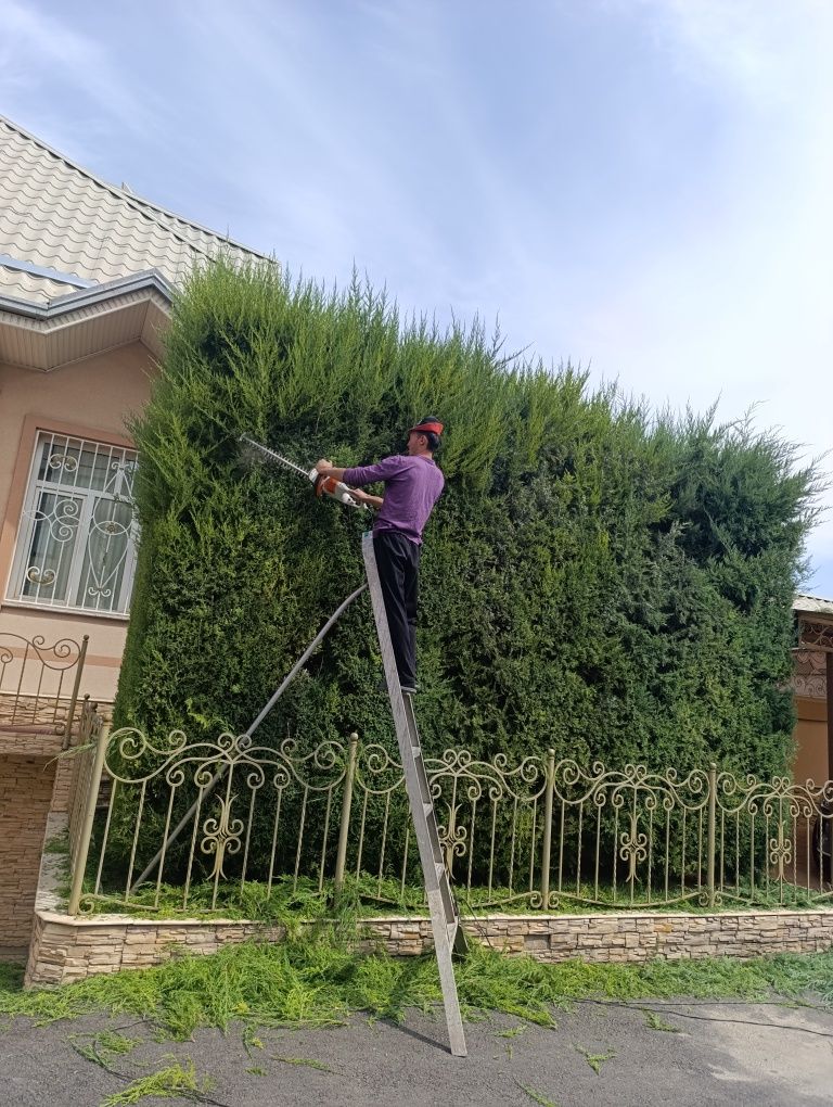 Садовник Garden богбон