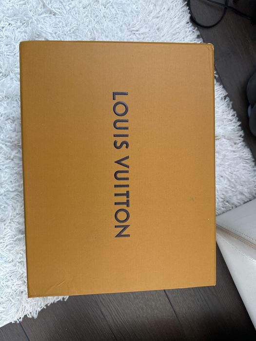 Louis vuitton skate trainers