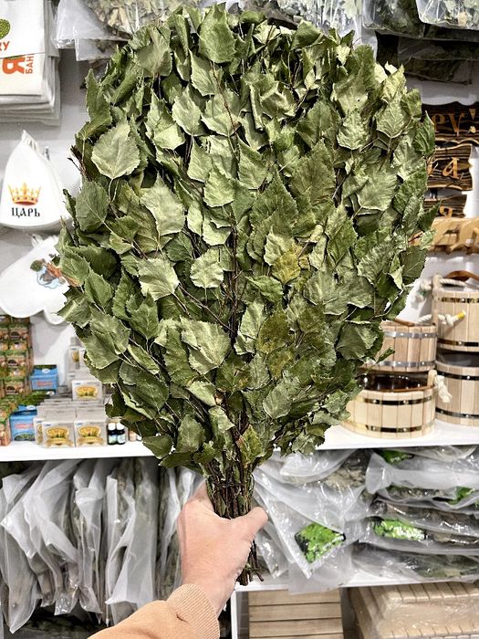 ВЕНИКИ ДЛЯ БАНИ! Лучшие веники для бодрящего пара!