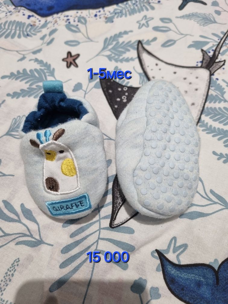 Цена за всё 50 тыс
