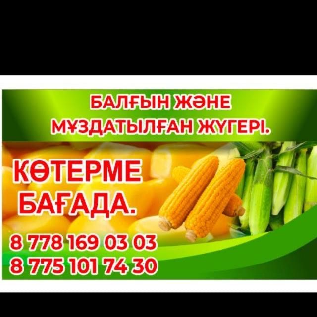 Кукуруза сладкая замороженая