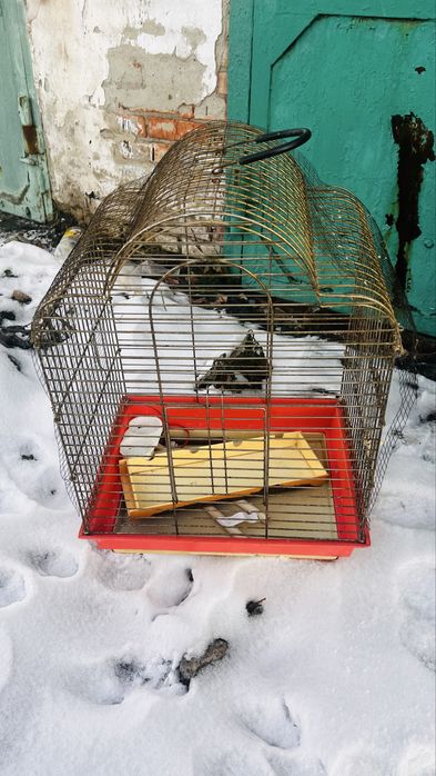 Продам большую клетку