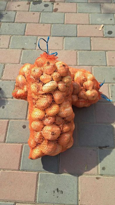 Ceapă de vânzare