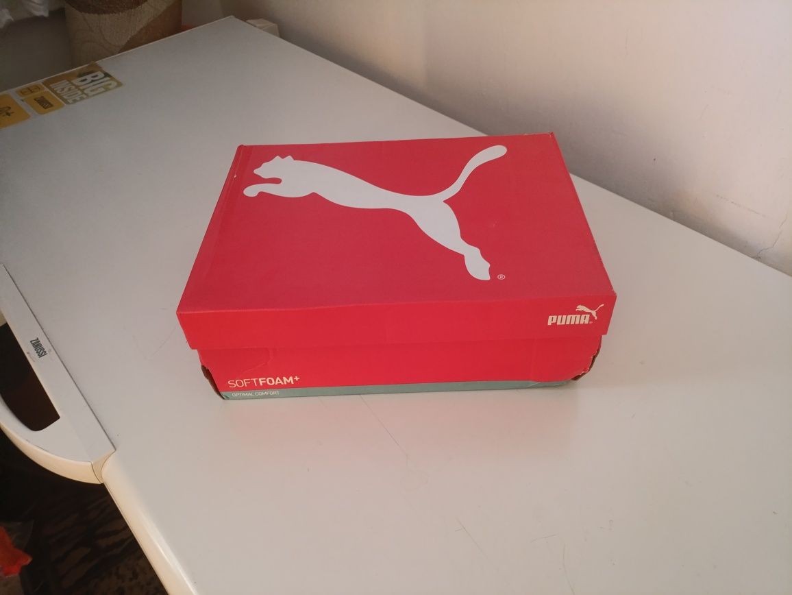 Puma originali transportați din Austria ieri