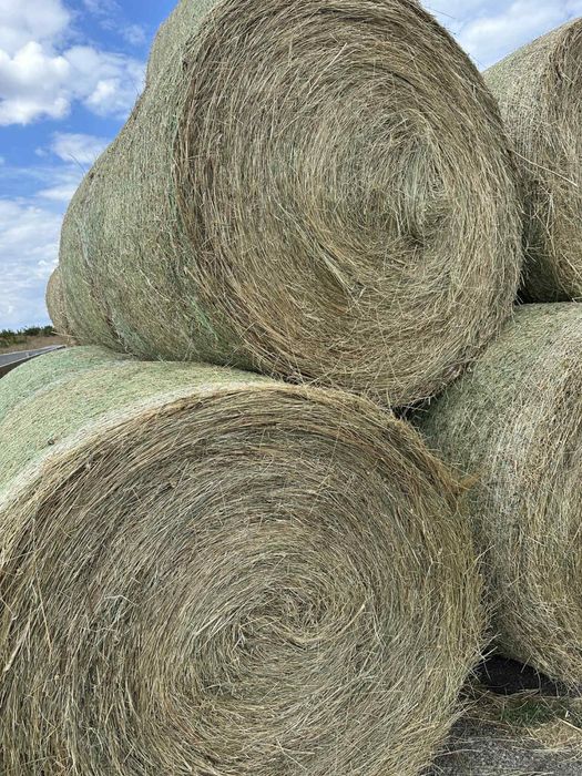 Бали сено и смеска
