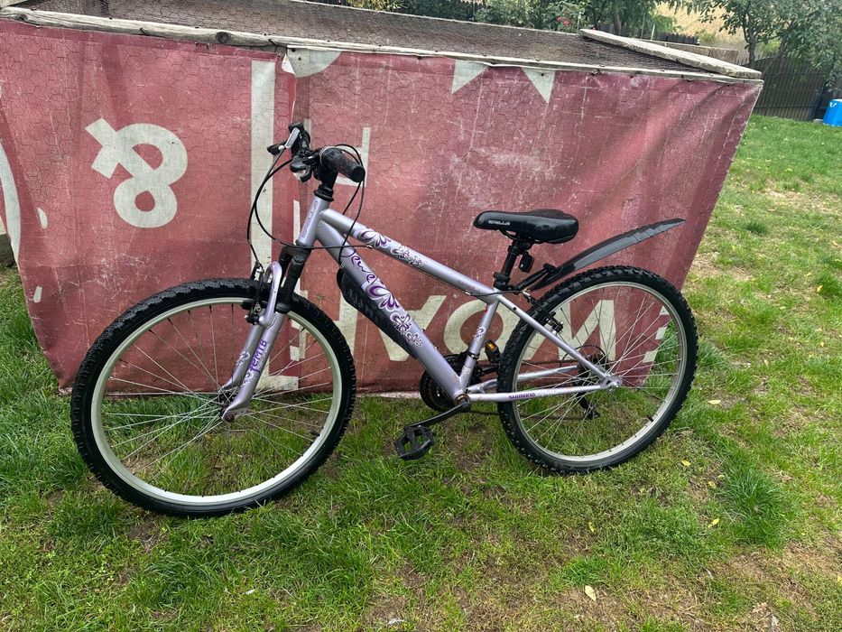 Bicicletă Apollo