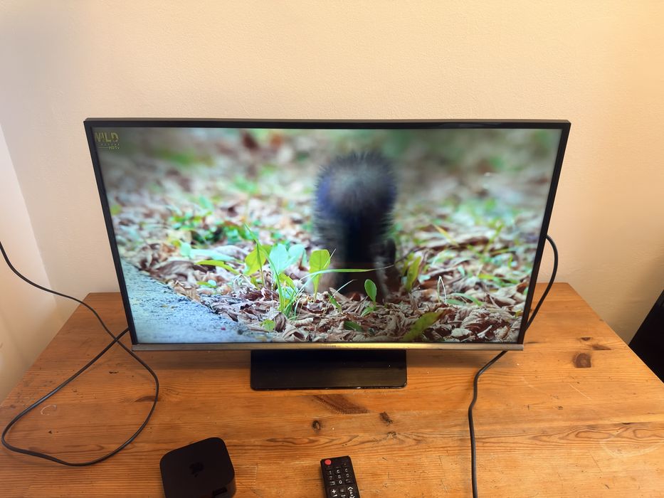 Televizor Full HD Samsung 80 cm Ecran cu pete intunecate