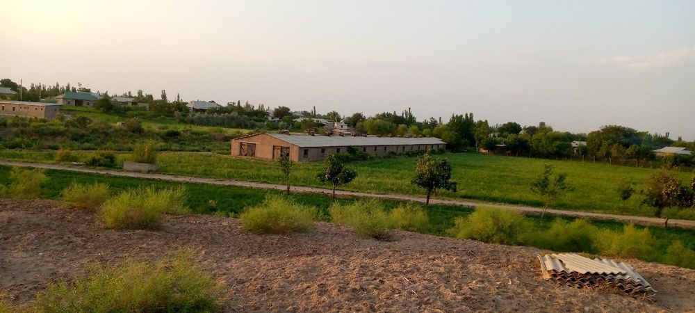 Ferma chorvachilik uchun eng arzon narxda shoshiling