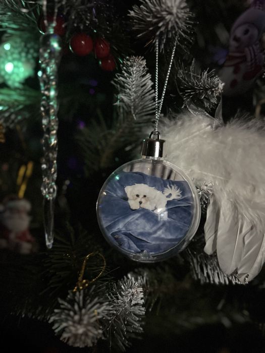 Globuri personalizate