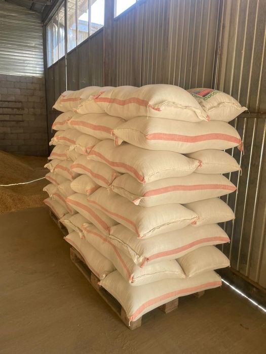 бидай,пшеница,арпа ячмень,кебек отруби (оптовый) тоннами