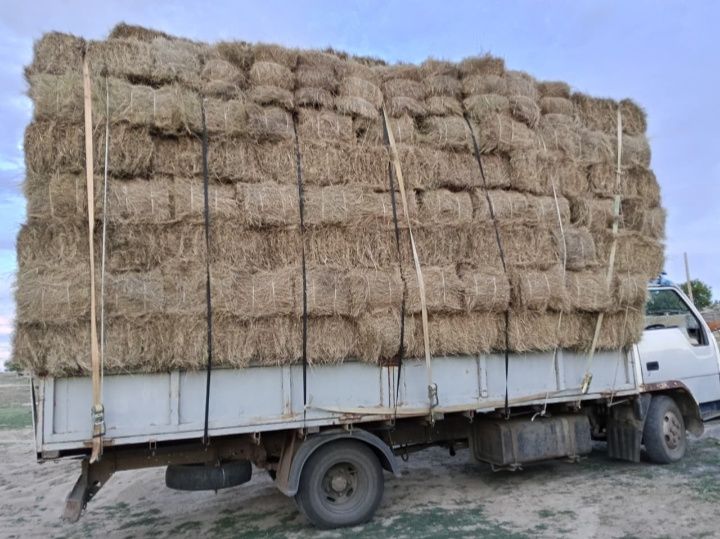 Продам сено житняк в тюках