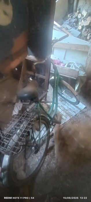 Сотилади арзон ок/