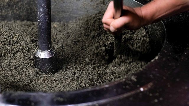 Ulei de dovleac , Ulei din semințe de dovleac