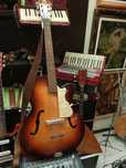 Chitara acustica
