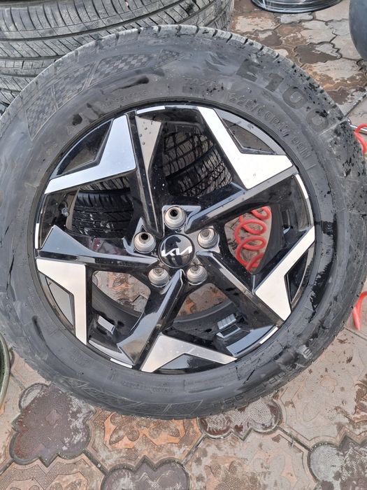 17 kia arginal diska balon