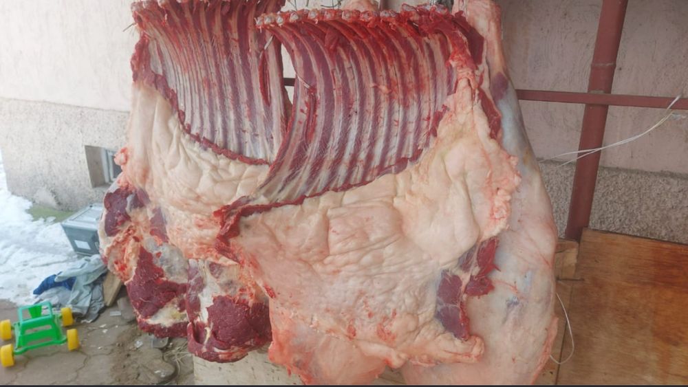 Продам мясо конина