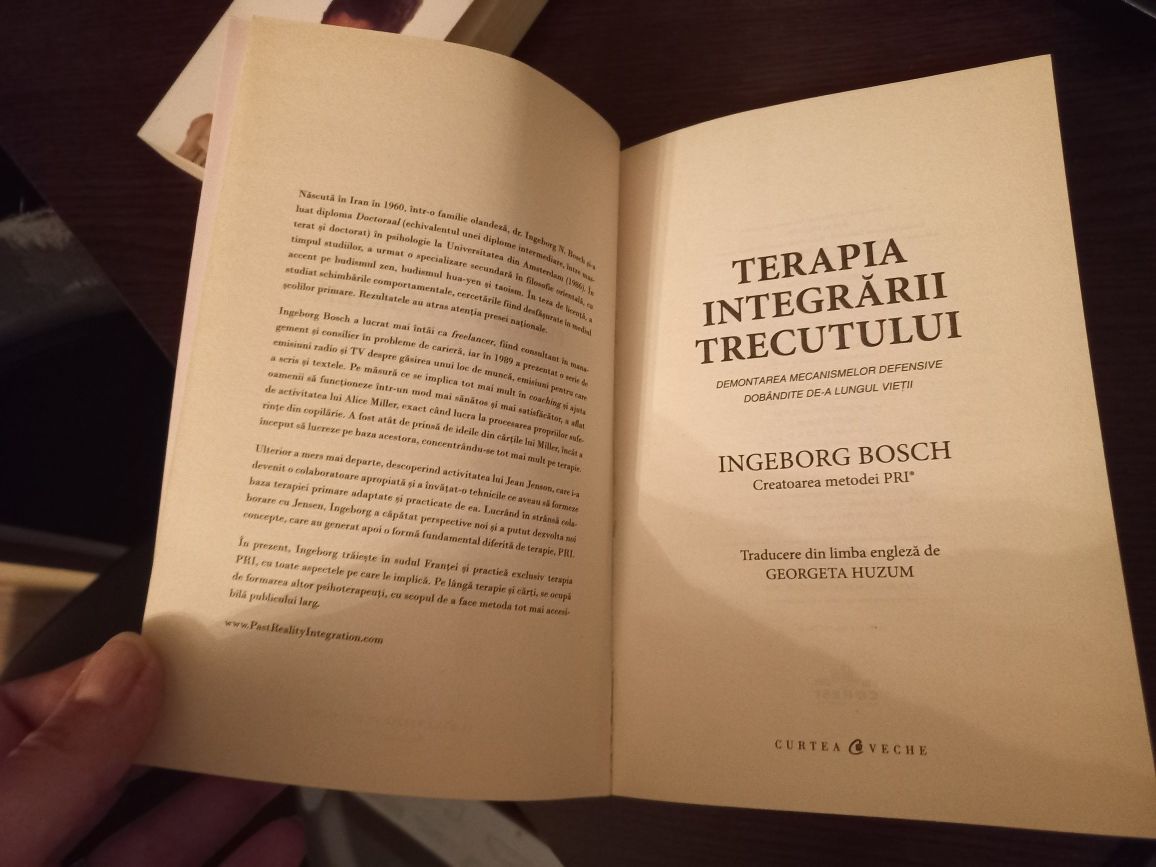 Terapia integrarii trecutului, carte