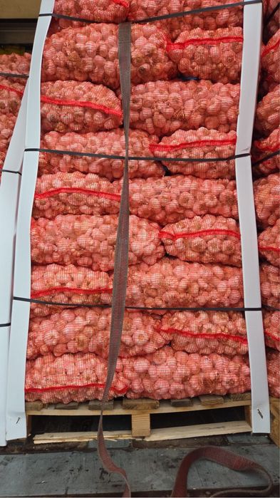 Usturoi de vanzare pentru consum sau plantat Craiova
