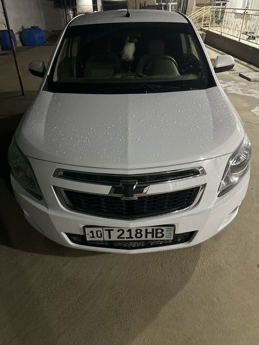 coblt 2024 xolati alo bir qol kraskasi toza gaz benzin