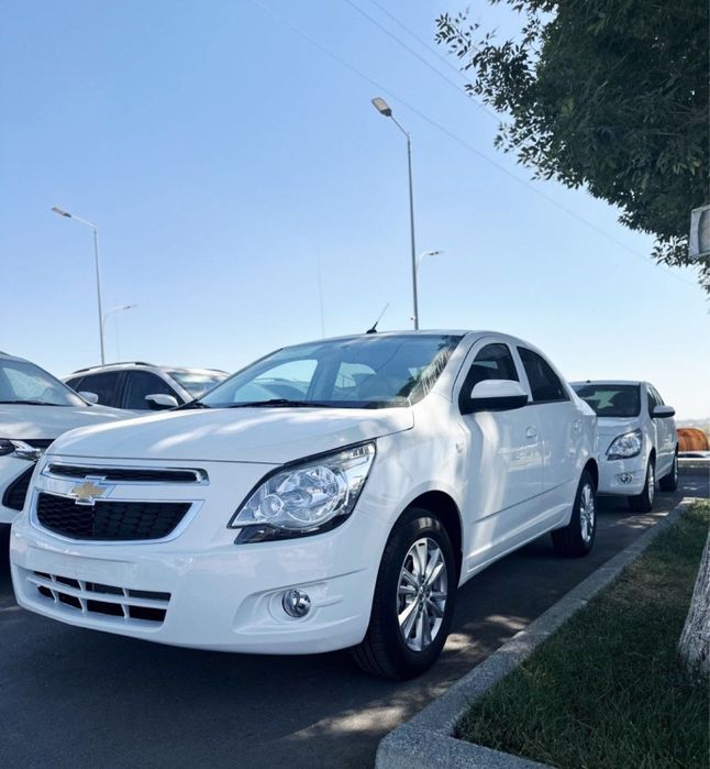 Cobalt style 2025 noyabr Notarius bonus