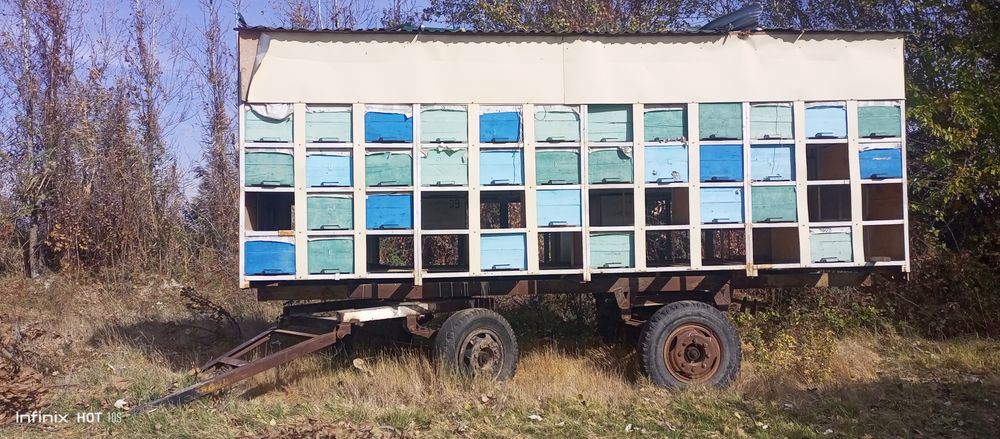 Pirsep asal ari pavilyon zil pirsepdan qilingan pavilion Асалари прцеп