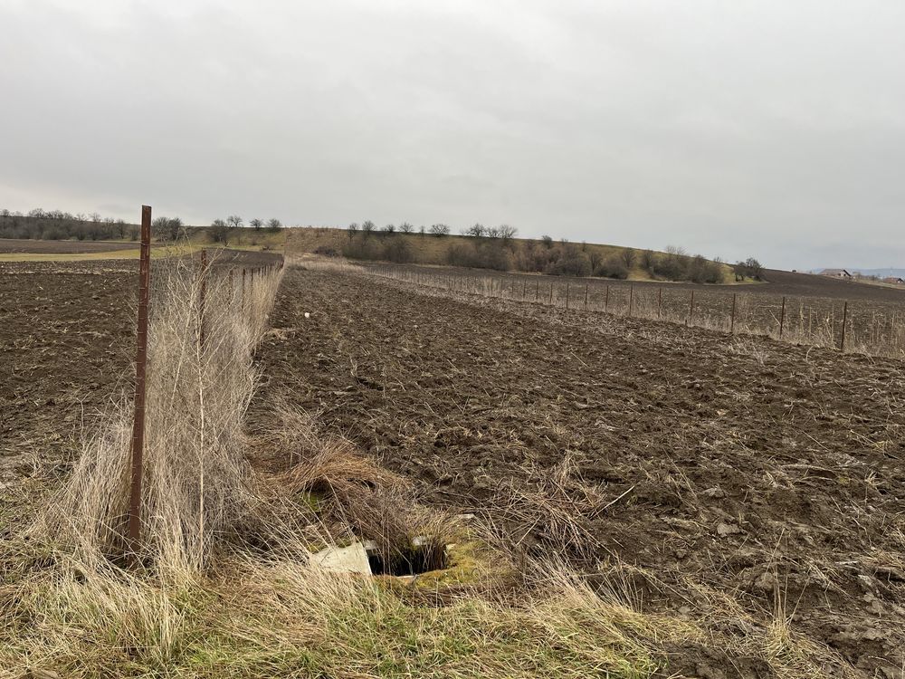 Vând Teren intravilan in Vintu de Jos