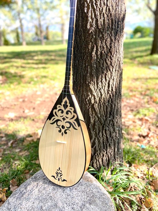 Домбыра Домбра Чехол Домбыра