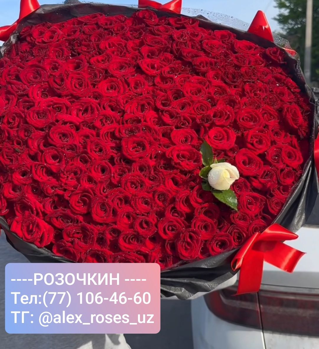 Доставка Роз Цветов) От 101 до 1001 розы. От 650.000 сум.