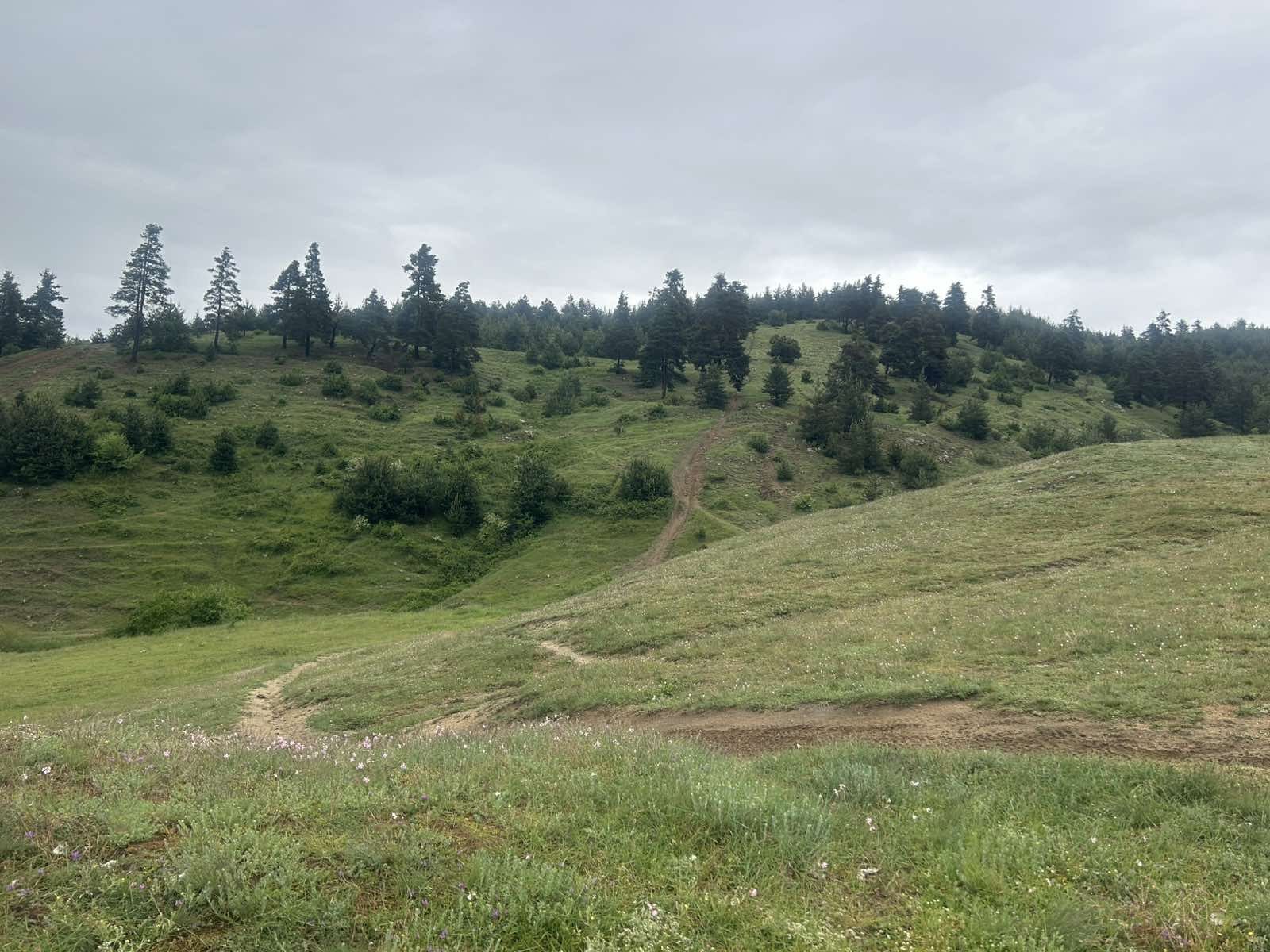 Парцел, имот в с.Баня ( Разложко )