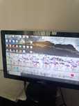 Monitor 19" Philips 200V4L
