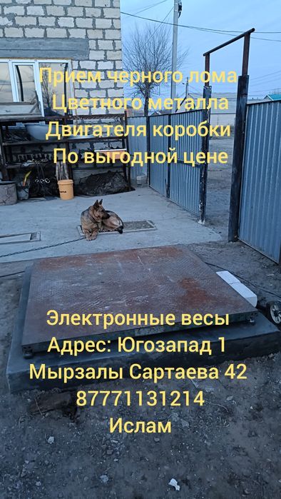 Черный лом цветной металл металлолом Темир темыр прием металла