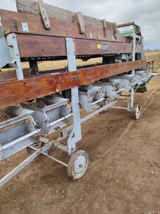 Sortator de cartofii