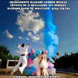 Arcada baloane baby shower Artificii gender reveal party ARANJAMENTE