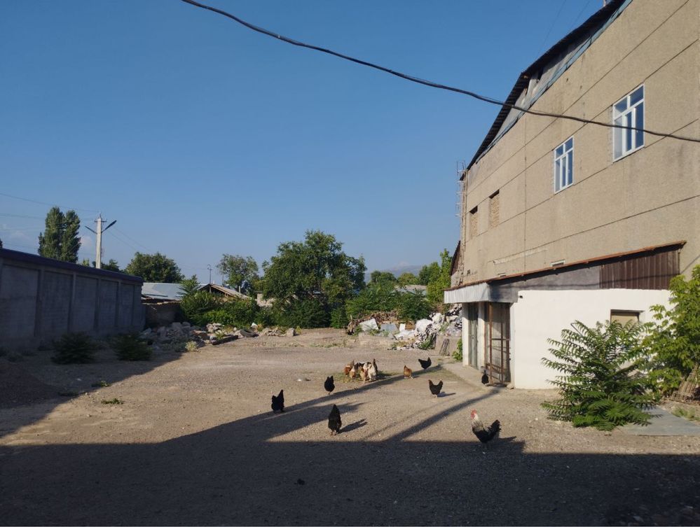 Ijaraga joy berila manzil gazalkent Сдается в аренду здания Газалкенте