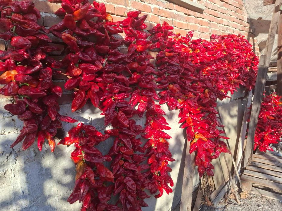 Сушени червени чушки – естествено изсушени