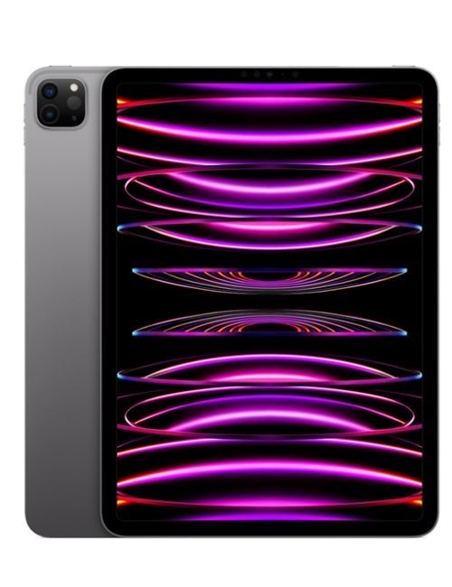 IPad Pro M2 (4-th generation) 11 inch cellular