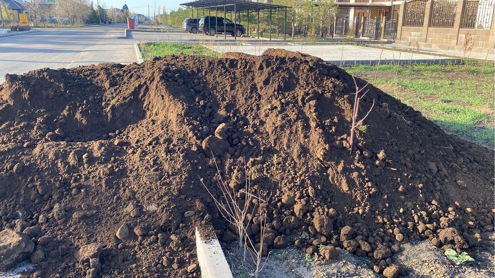 Чернозем 30тонн для сада ,огорода