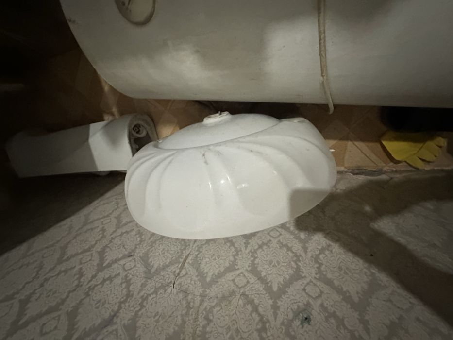 Продам раковинну тюльпан