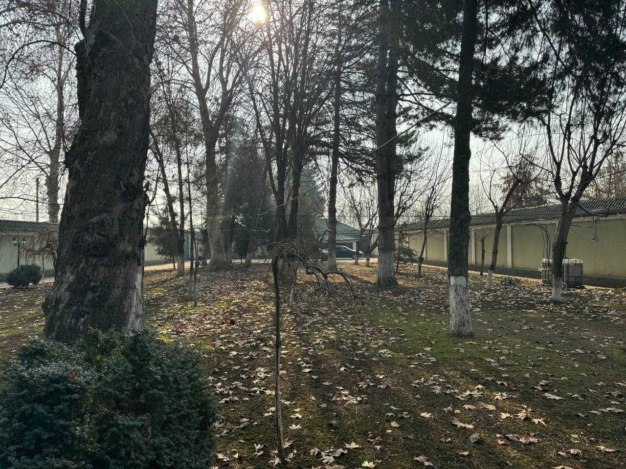 Продается зона отдыха Янги Тошкент 72 соток ААА