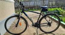 Bicicleta Al și Bare portbagaj.