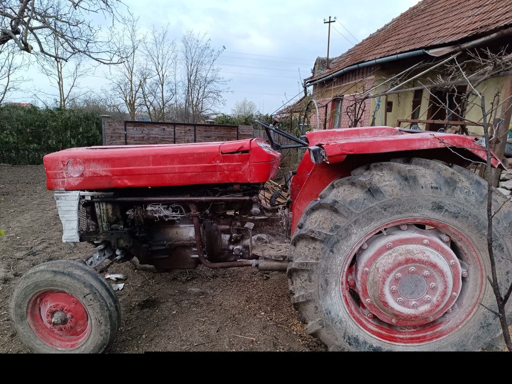 Vând sau schimb cu auto sau animale  tractor MF 65