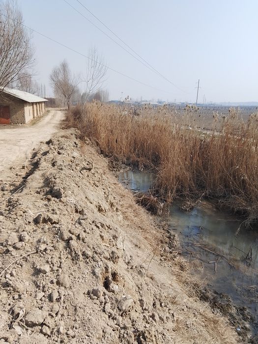 Урдак, куй,куён, бокиш учун