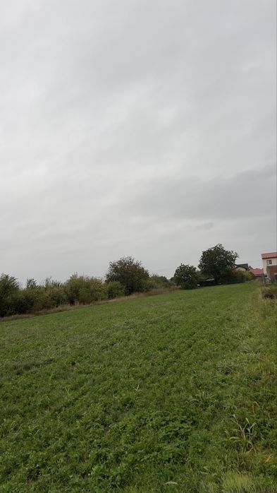 Teren Intravilan