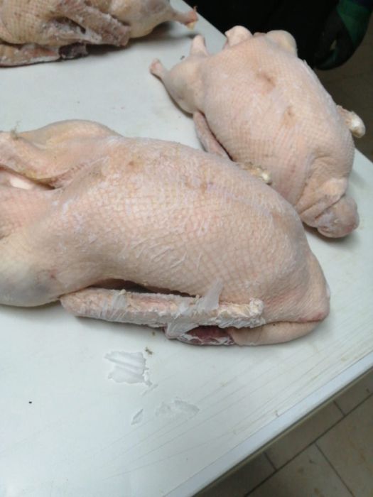 Гуси мясо домашнее.