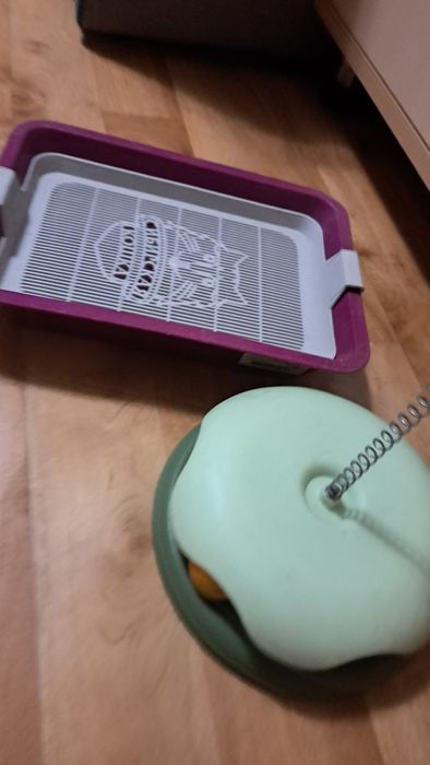 Продам лоток для котят