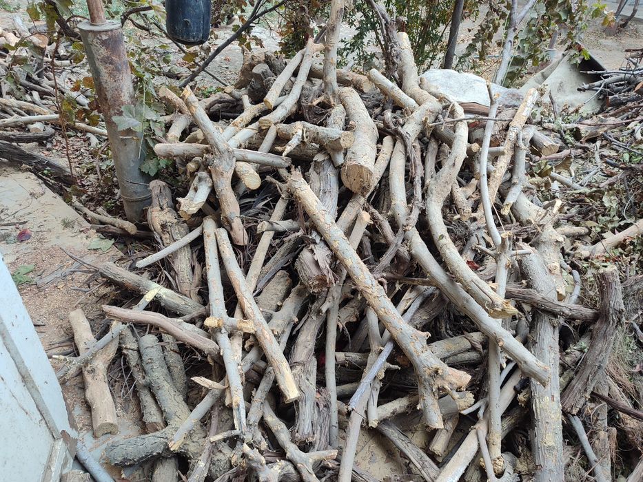 O'tin утин сотилади