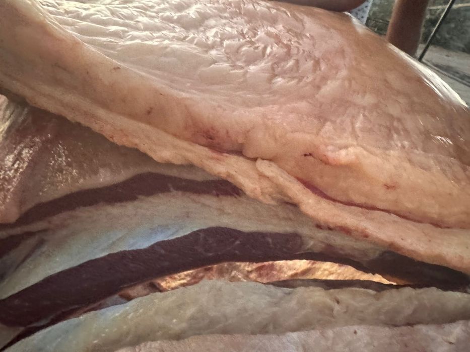 Соғым жылқы еті сатылады