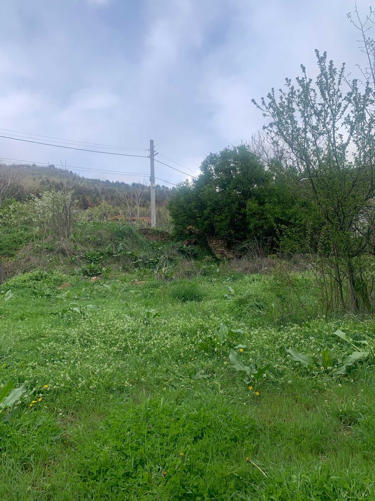 Продава се Парцел в Хисаря - 958 кв.м за 33 €/кв.м - Снимка #2